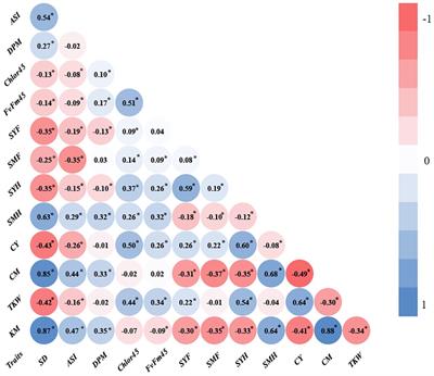 Impact of irrigation, nitrogen fertilization, and plant density on stay-green and its effects on agronomic traits in maize